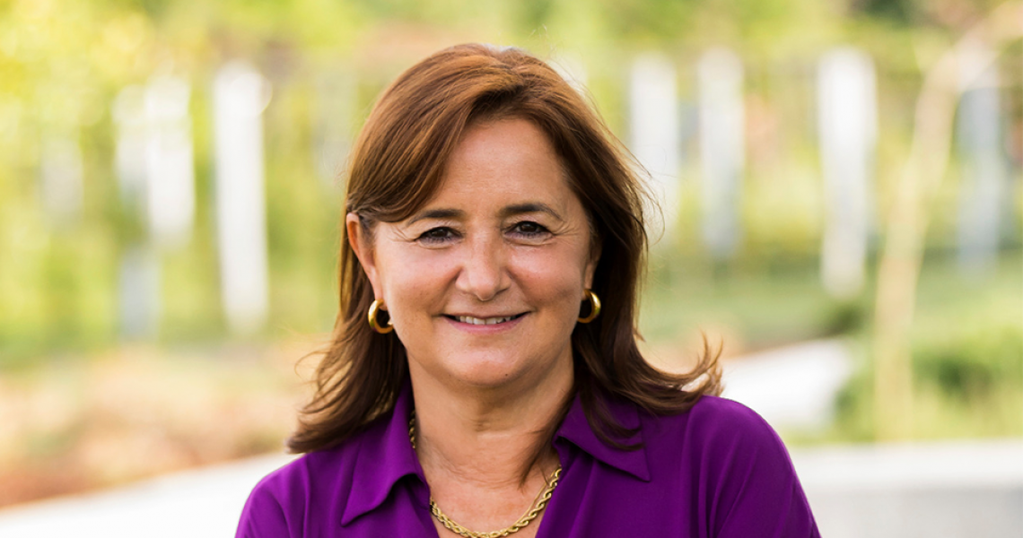 Maria José Fernandes, presidente do Conselho Coordenador dos Institutos Superiores Politécnicos